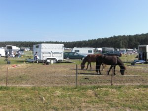 RTF Lueneburg Rocky 009